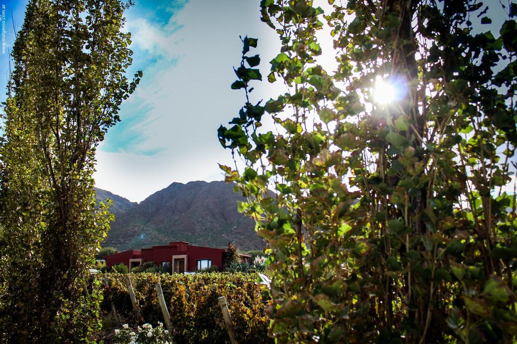 Miraluna Bodega Boutique Cachi Bagian luar foto