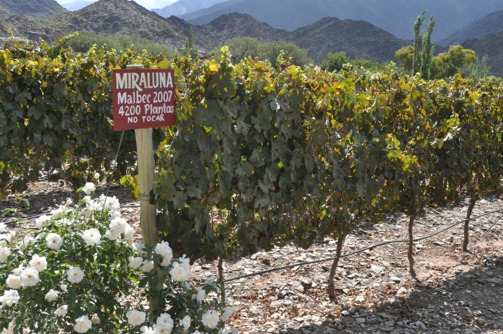 Miraluna Bodega Boutique Cachi Bagian luar foto