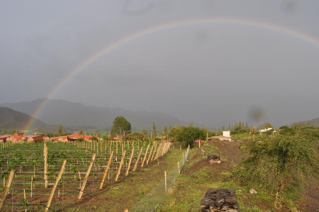 Miraluna Bodega Boutique Cachi Bagian luar foto