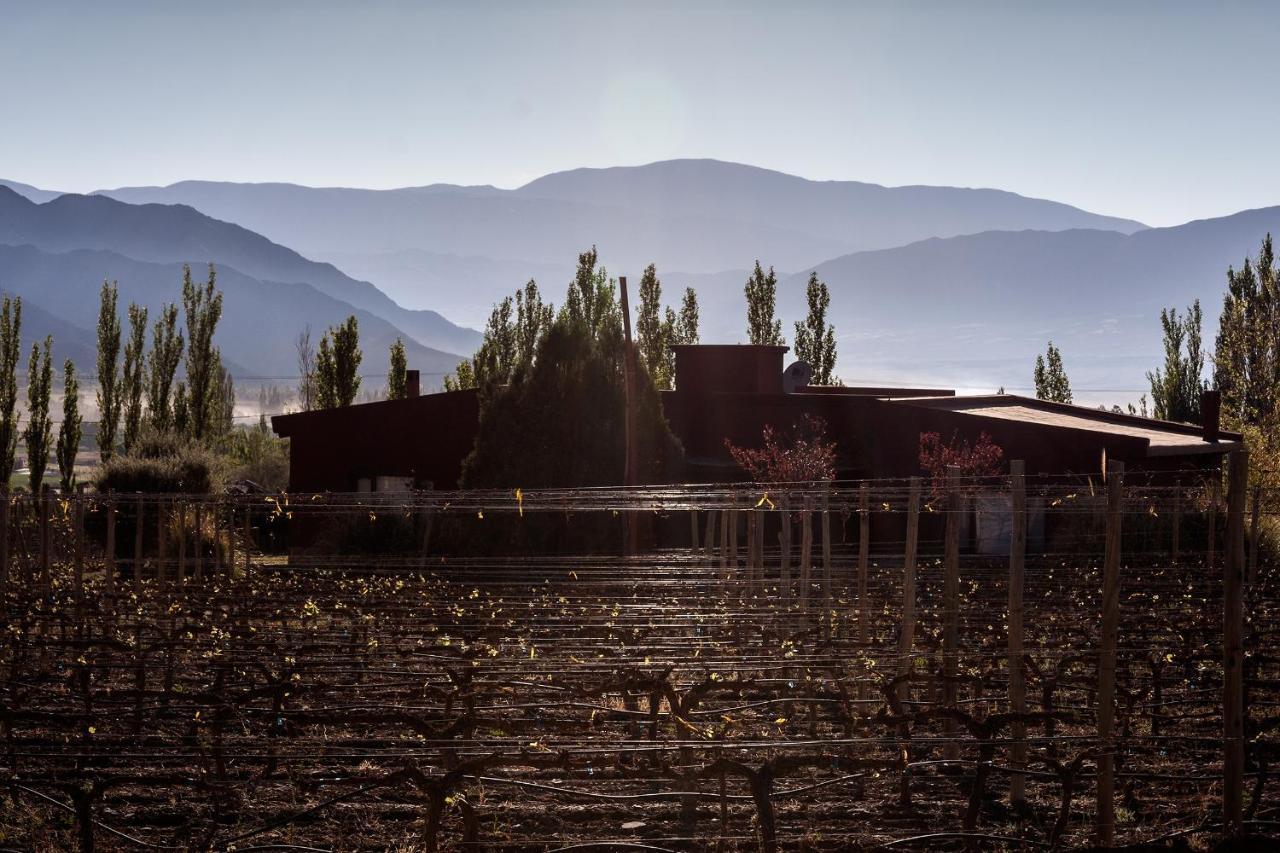 Miraluna Bodega Boutique Cachi Bagian luar foto