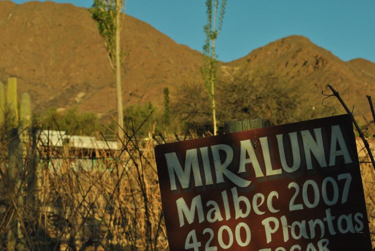 Miraluna Bodega Boutique Cachi Bagian luar foto